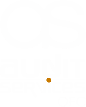 auditservices.io